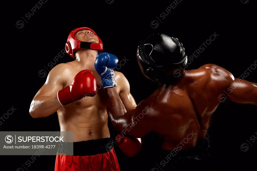 Boxer Receiving An Upper_Cut Punch To The Chin