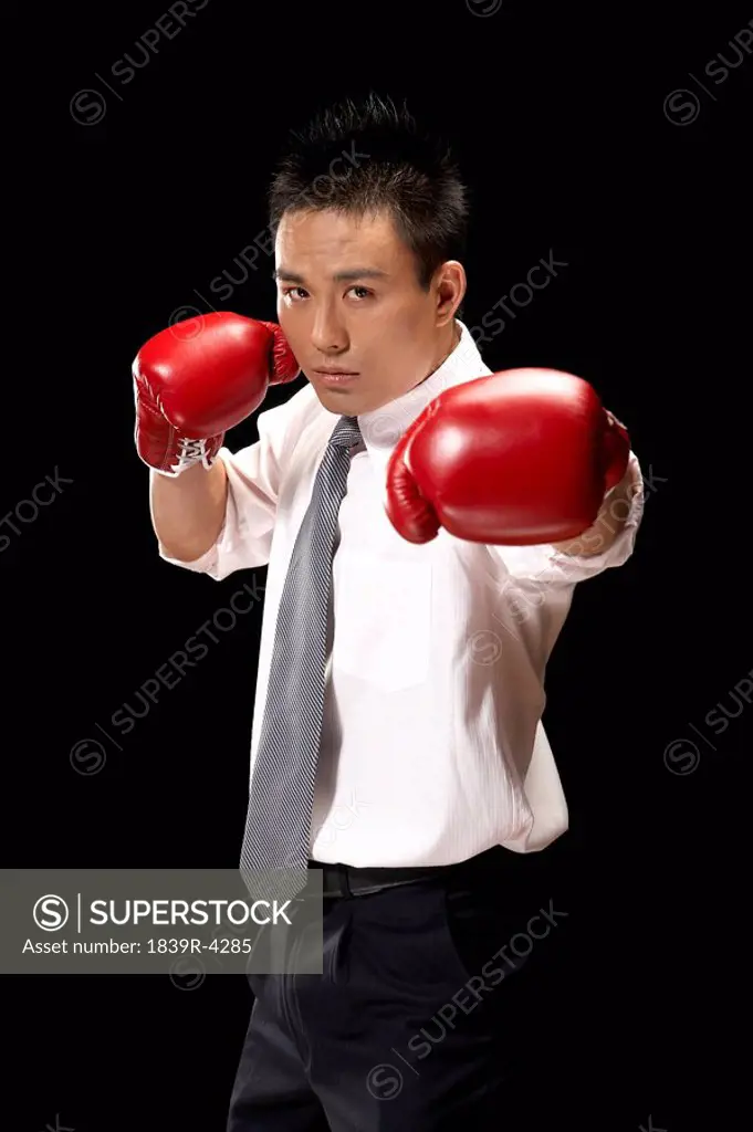 Businessman Wearing Boxing Gloves And Punching