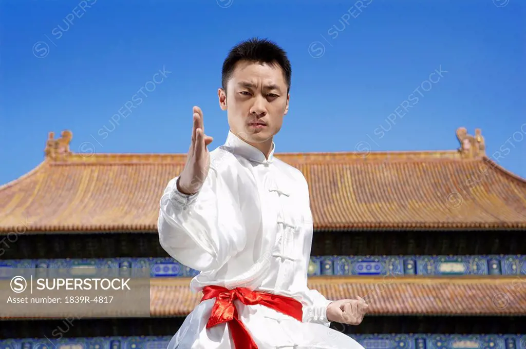 Portrait Of Young Man Practicing Martial Arts