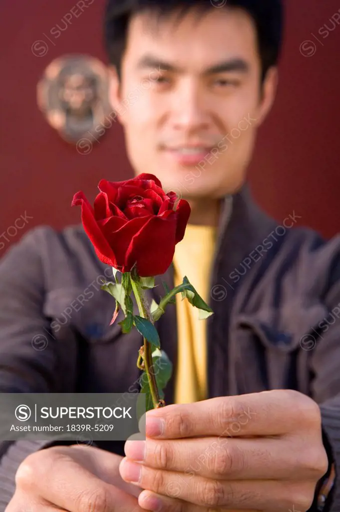 Young Man Offering A Single Rose
