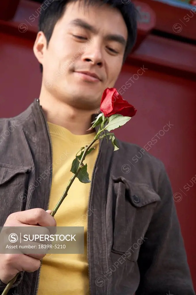 Young Man Standing Outdoors Admiring A Red Rose