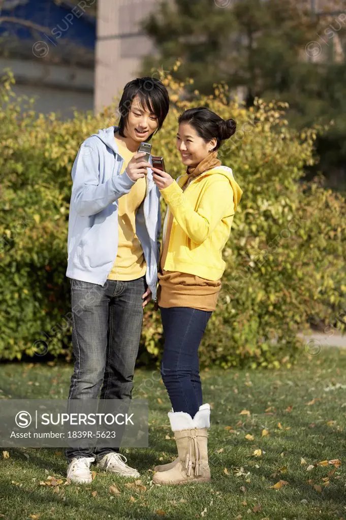 Young Couple In The Park Using Cellphones