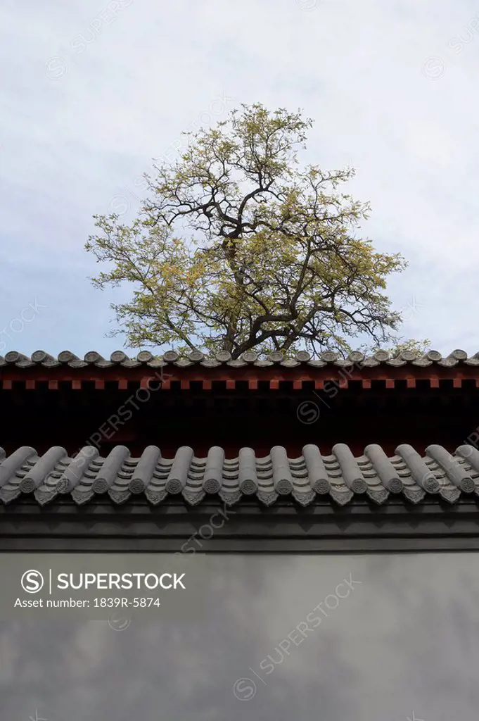 Detail Of The Roof Edge Of A Chinese Pagoda