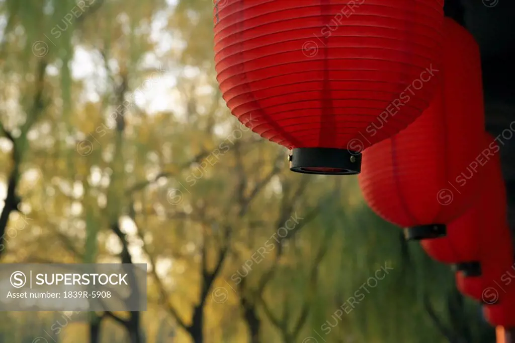 Red Lanterns Hanging In Front Of Trees