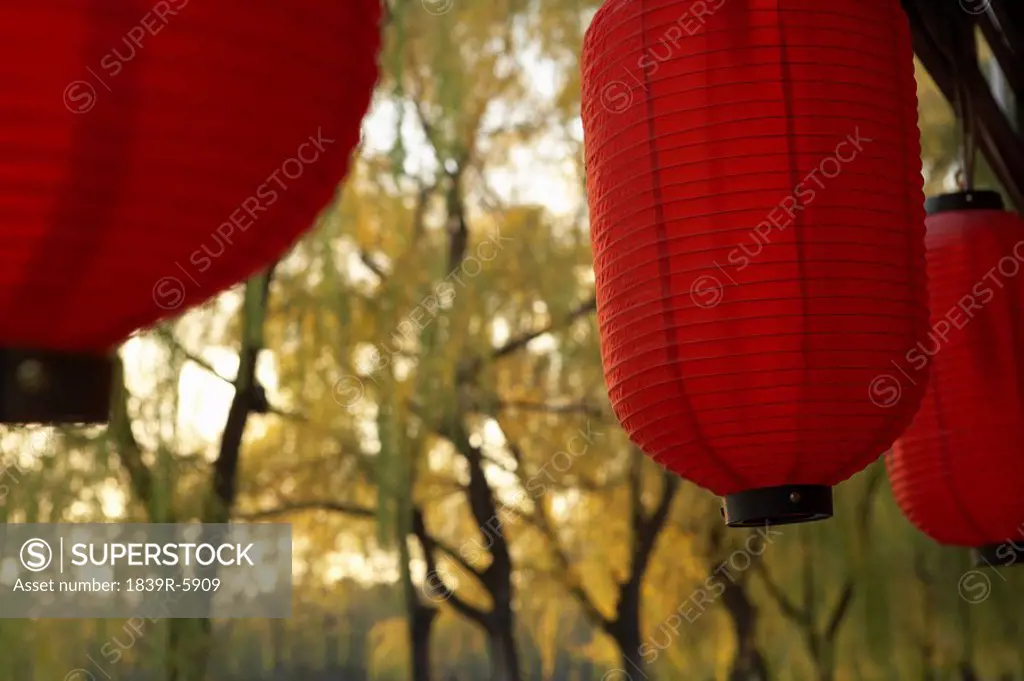 Red Lanterns Hanging In Front Of Trees