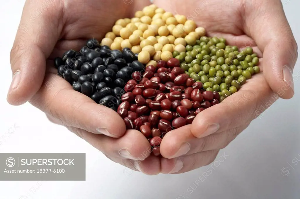 Cupped hands holding multicolored beans and legumes