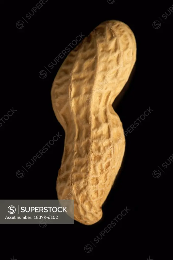 A peanut in shell