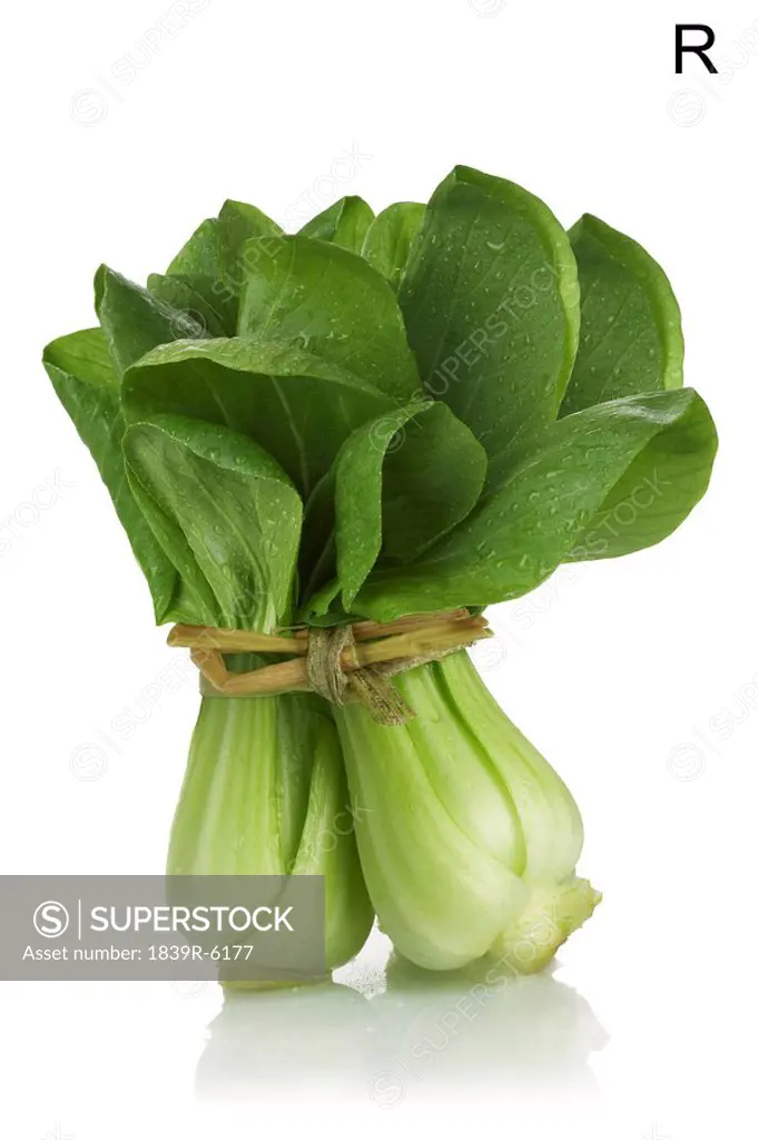 From the Health_abet, the Letter R, a bok choi.