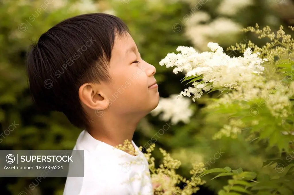 Young Boy Smelling Flowers In A Park