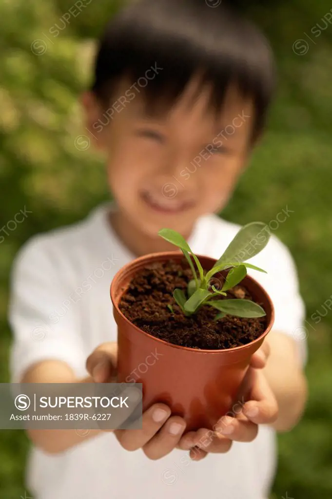 Young Boy Holding Plant In Both Hands