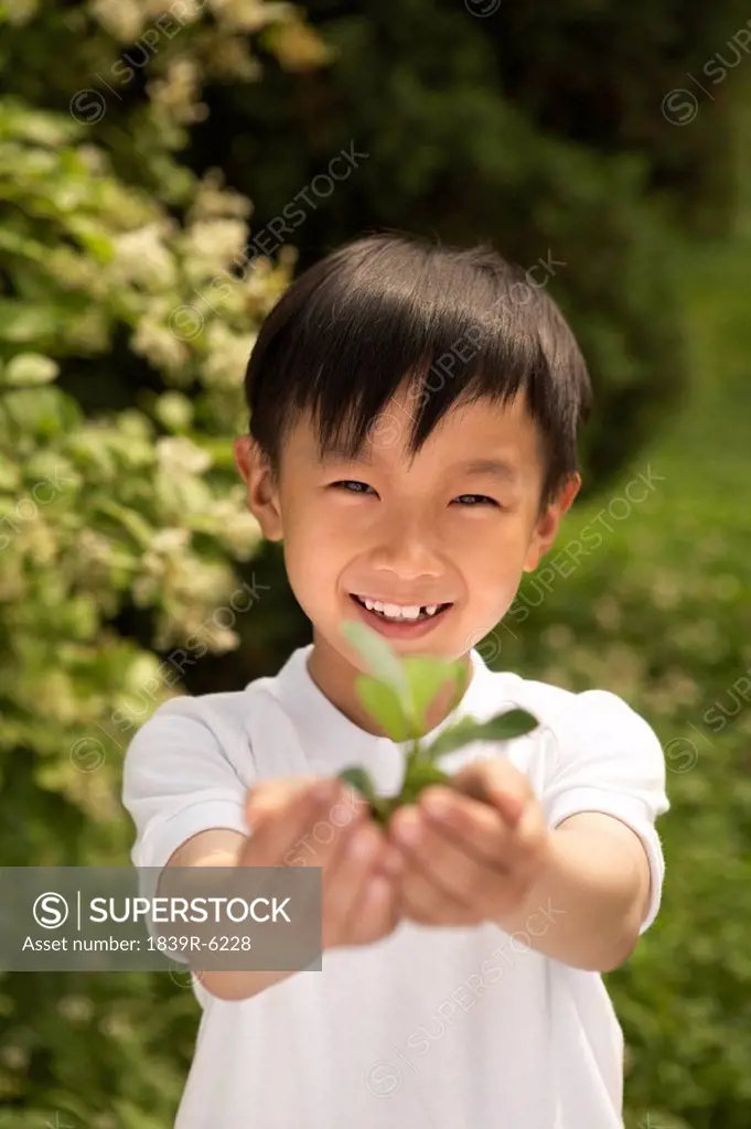 Young Boy Holding Plant In Both Hands