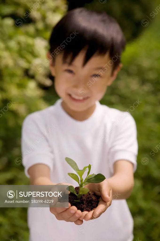 Young Boy Holding Plant In Both Hands