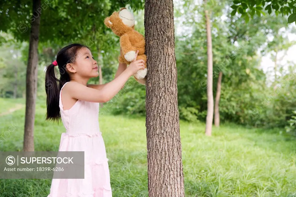 Young Girl Helping Her Teddy Bear Climb A Tree In The Park
