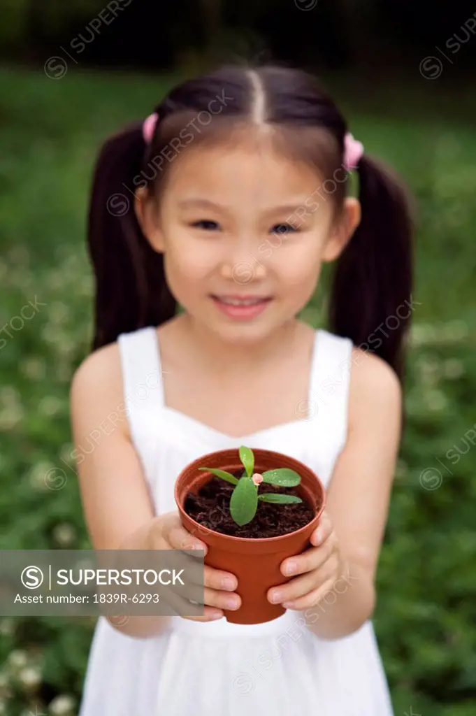 Young Girl Holding A Potted Plant In The Park