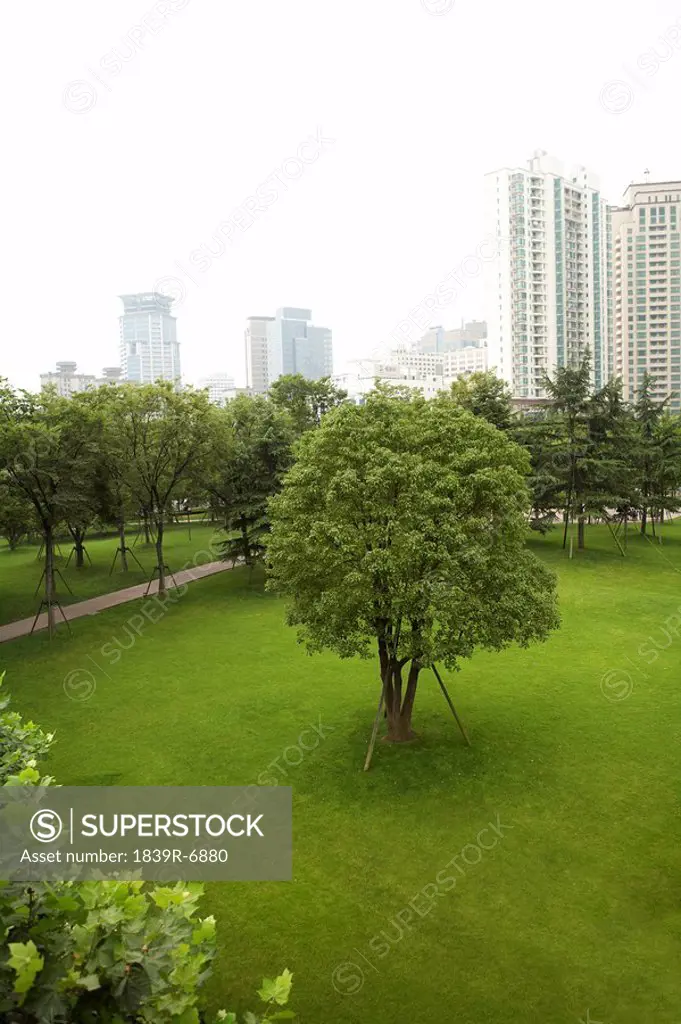 Urban green space, Shanghai