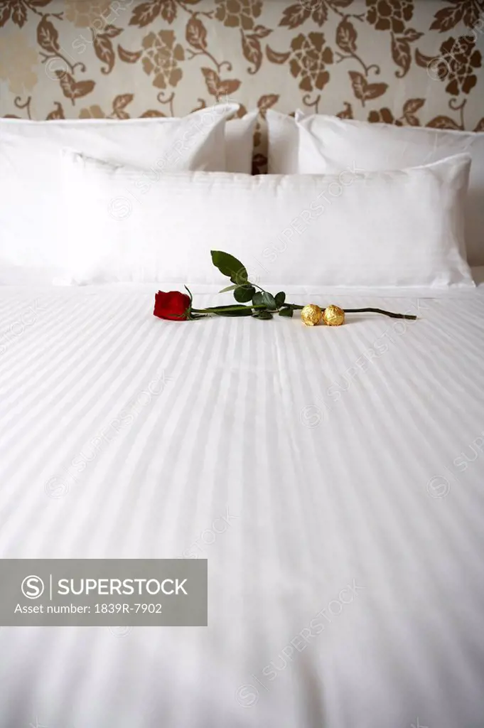 Rose and chocolates on a white bed