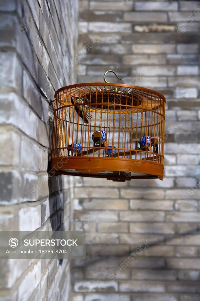 Bird in a Hanging Cage, Beijing Hutong, China