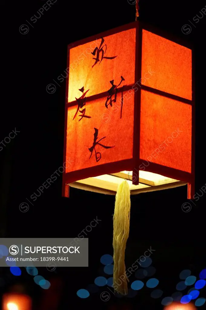 Chinese traditional hand_made lantern