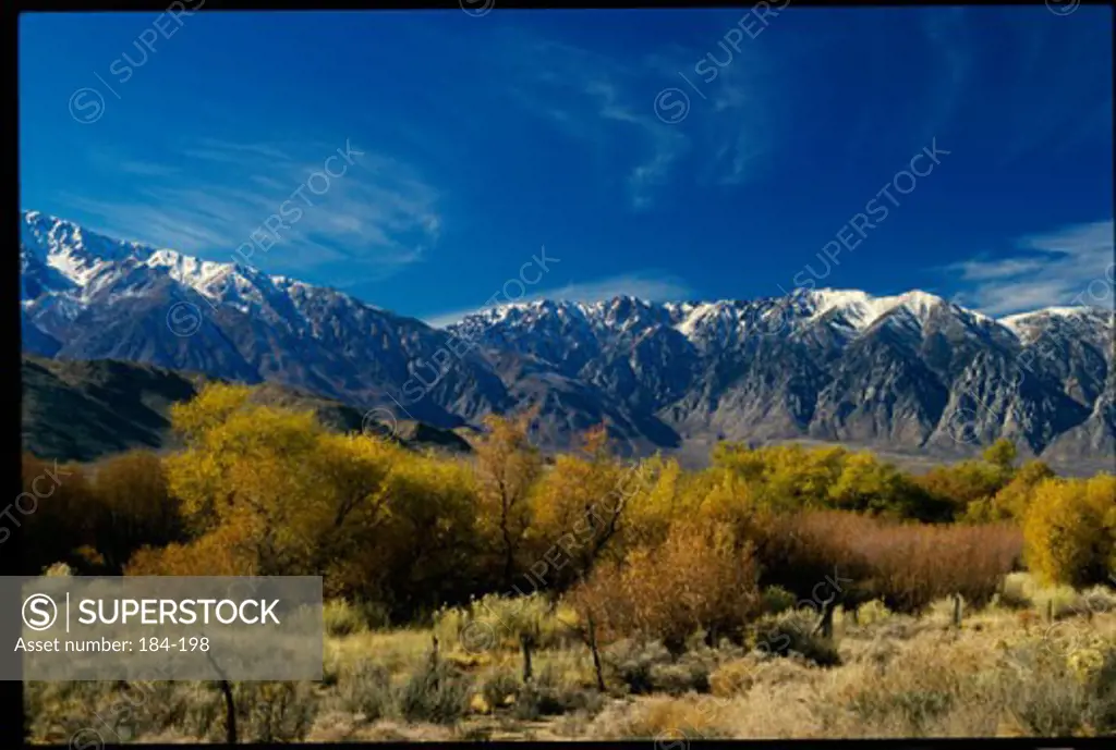 Sierra Nevada BishopCaliforniaUSA