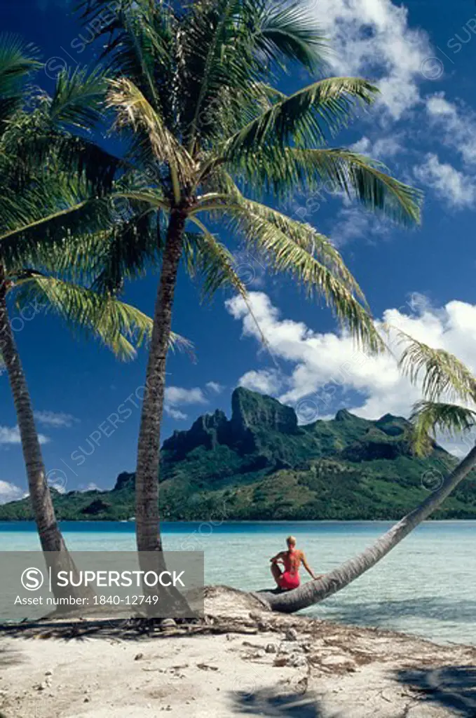 Woman on palm tree, Bora Bora, Tahiti