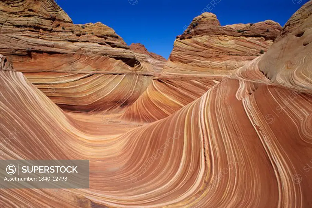 Swirling sandstone in The Wave in Coyote Buttes region of Vermilion Cliffs Wilderness Area, Arizona.