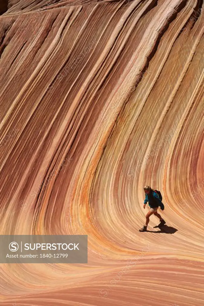 Hiking in the sandstone swirls of The Wave in the Vermilion Cliffs Wilderness Area in northern Arizona.