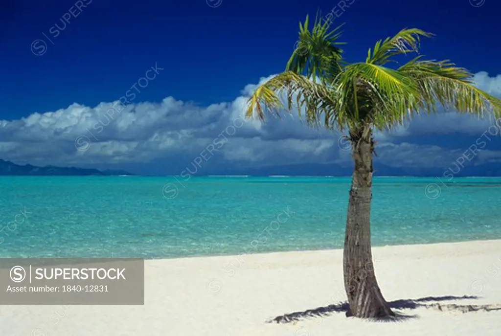 Matira Beach on the island of Bora Bora, Society Islands, French Polynesia, South Pacific.