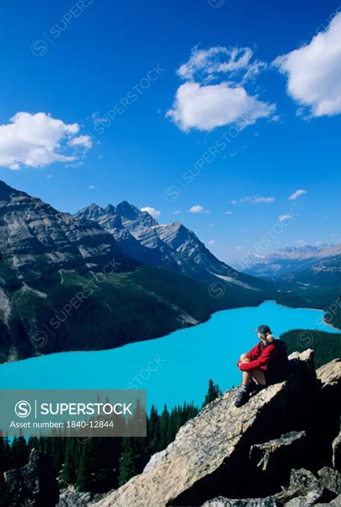 Hiker overlooking turquoise-colored Peyto Lake near Bow Summit along the ice fields Parkway in Banff National Park, British Columbia, Canada.