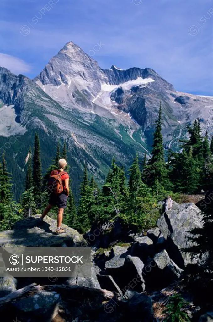 Woman hiking along the Abbott Ridge Trail looking at Mount Sir Donald in Glacier National Park, British Columbia, Canada.