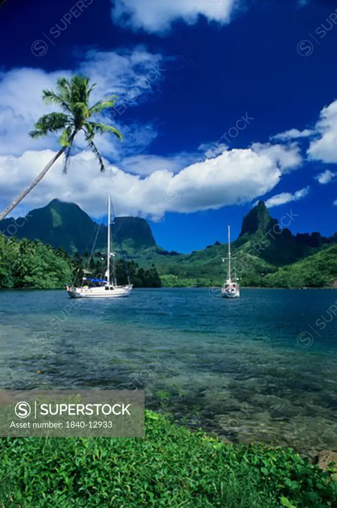 Private yachts anchored in Opunohu Bay on the island of Moorea in the Society islands of French Polynesia.