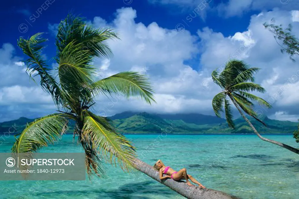 A woman relaxed on a palm tree over the turquoise lagoon on the island of Raiatea in the Society Islands of French Polynesia in the south Pacific Ocean.