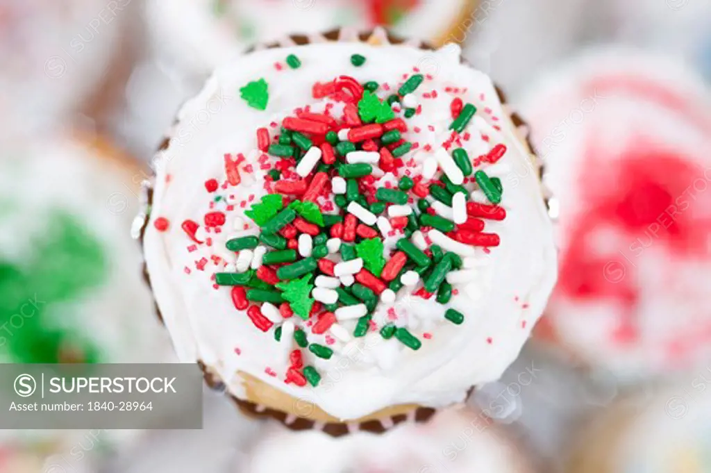 Christmas cupcakes with colorful sprinkle decorations on top for the Holiday Season