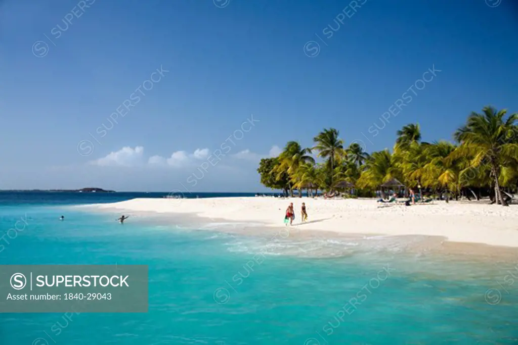 Stunning beach at Palm Island in the Grenadines. Caribbean