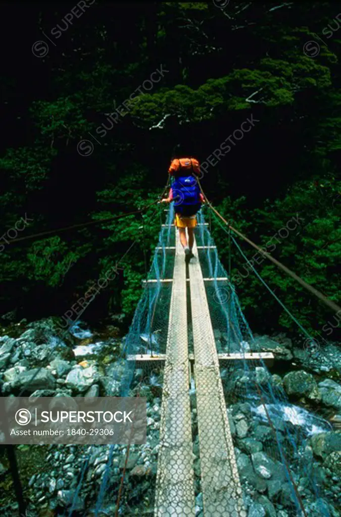 Trekker walking across swing bridge at the headwaters of the Arthur River on the Milford Track in Fiordland National Park on the south island of New Zealand. We have extensive files of skiing, climbing, backpacking and scenics on the south island of New Zealand.