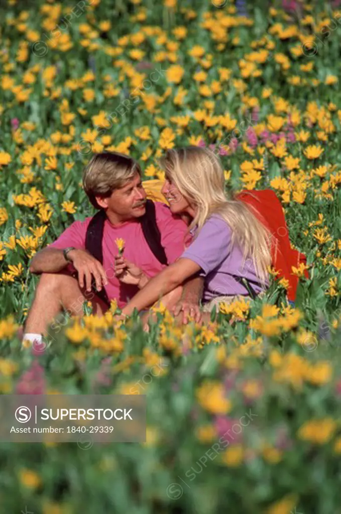Copyright James Kay.  Two hikers in the spring wildflowers in the Wasatch Mountains near Salt Lake City, Utah.