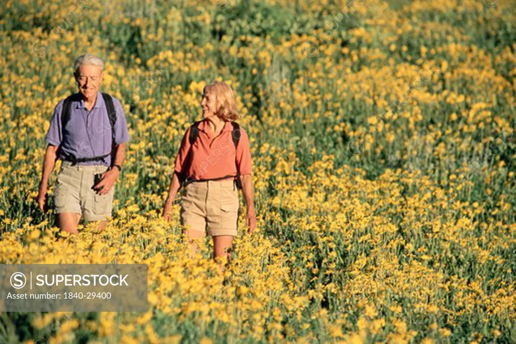 Senior couple in field of yellow wildflowers