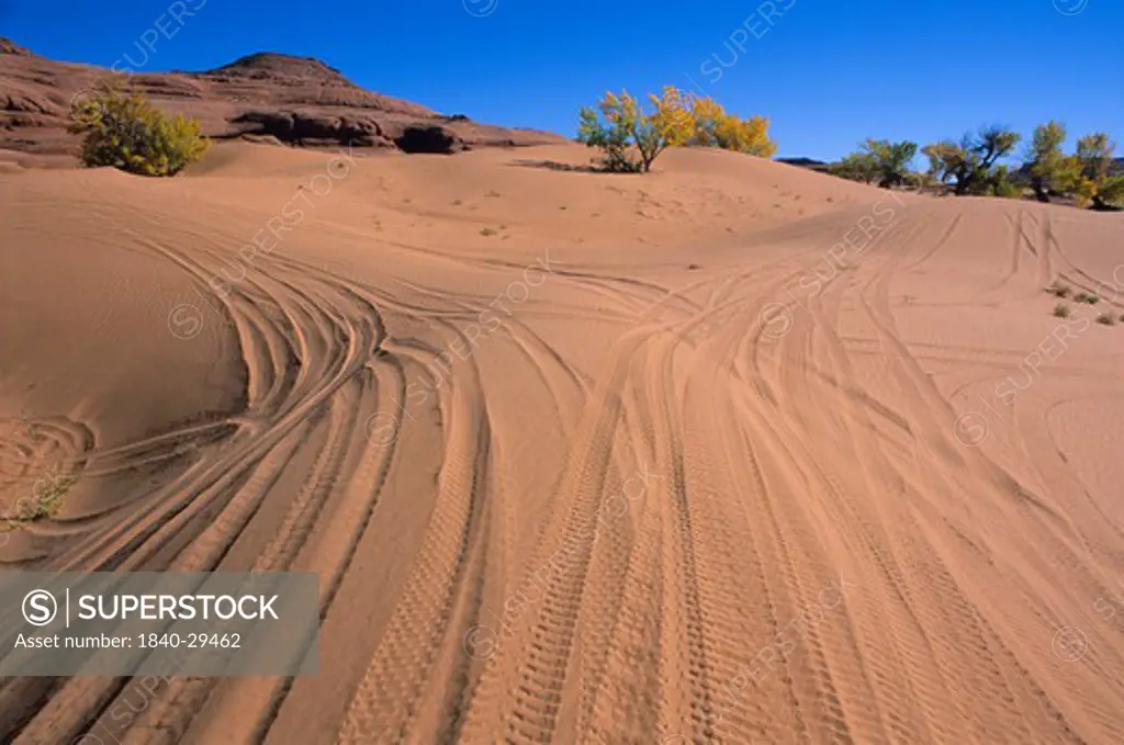 Off road vehicle tracks in the White Wash Dunes south of the town of Green River, Utah.