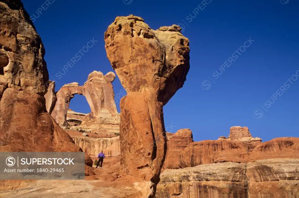 Angel Arch above Salt Creek Canyon in the Needles District of Canyonlands National Park, Utah.