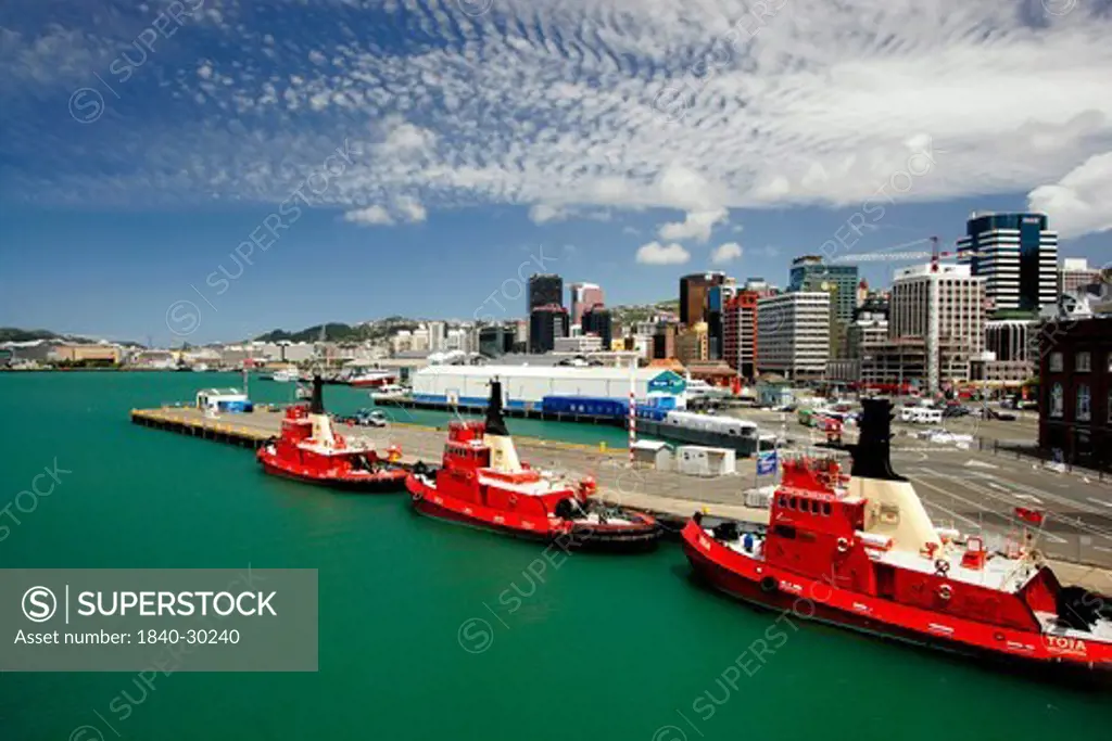 North Island, Wellington