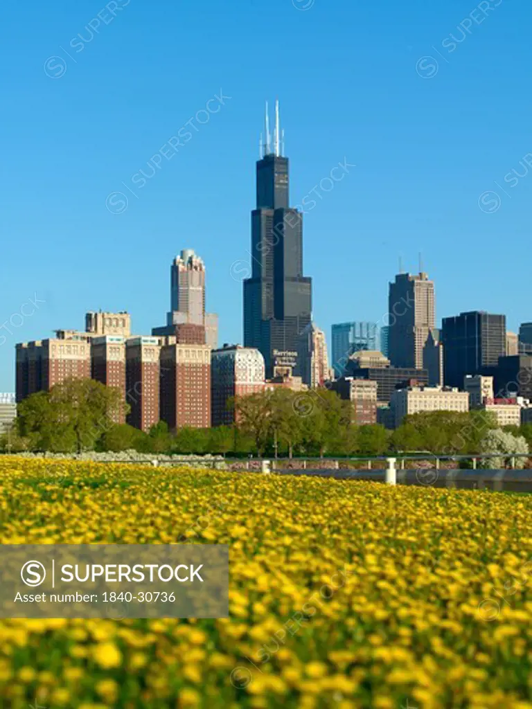 Chicago, Skyline, Sears Tower