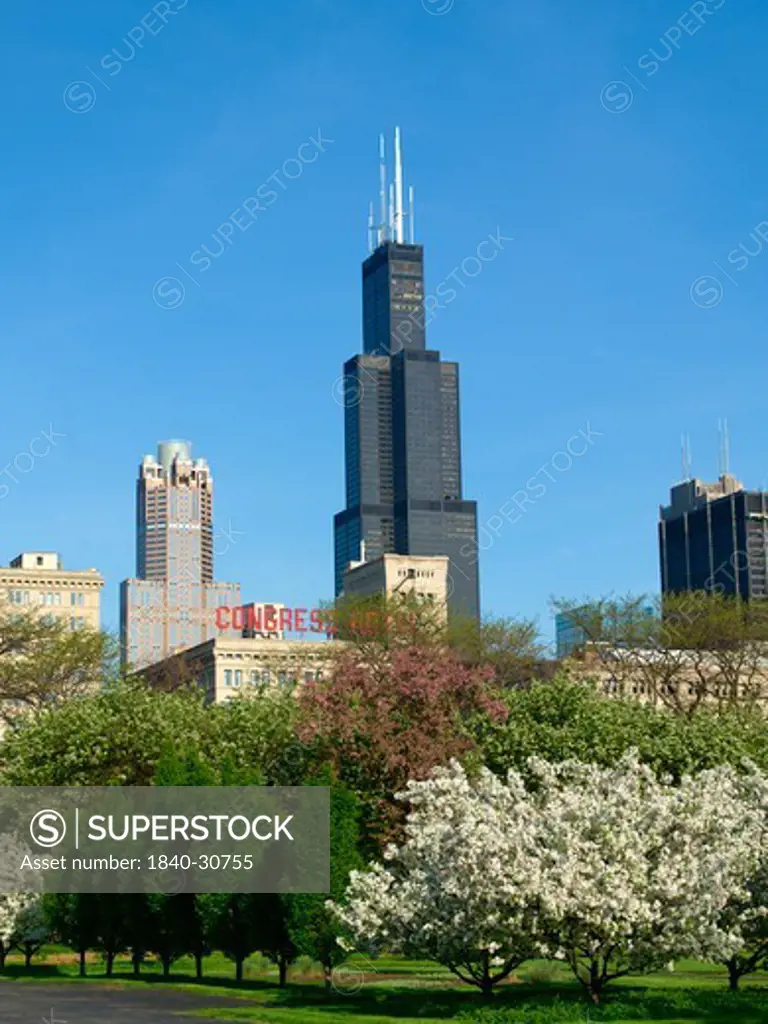 Chicago Skyline, Sears Tower