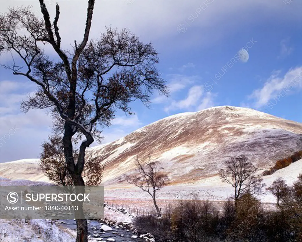 Scotland: Glen Lochsie