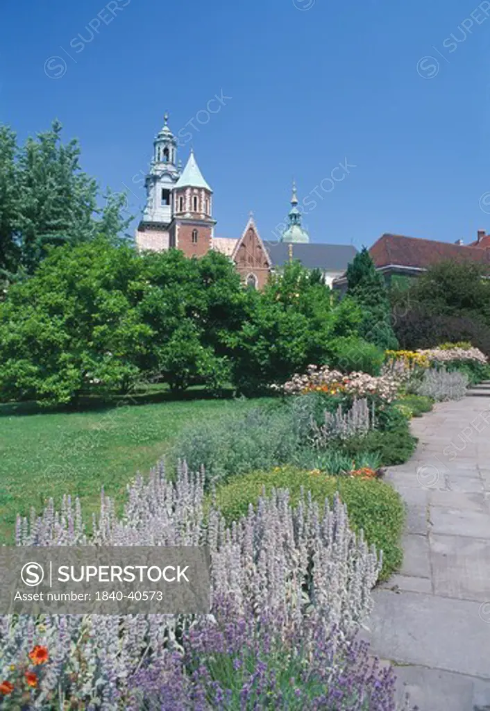 Wawel Hill, Cathedral