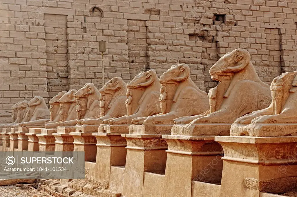 Ram_headed sphinxes, Temple of Karnak, Karnak, Egypt, Africa