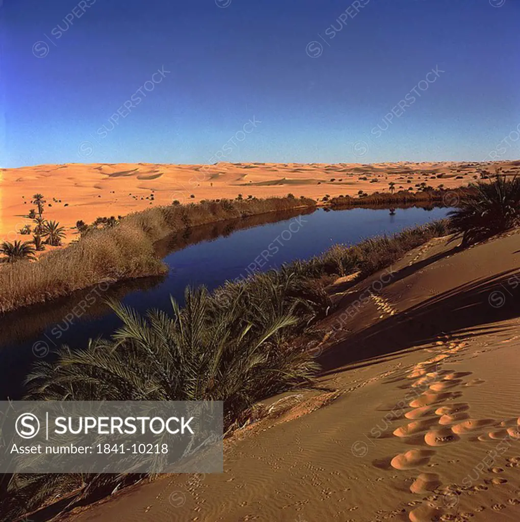 Sand dunes in desert, Libyan Desert, Fezzan, Libya