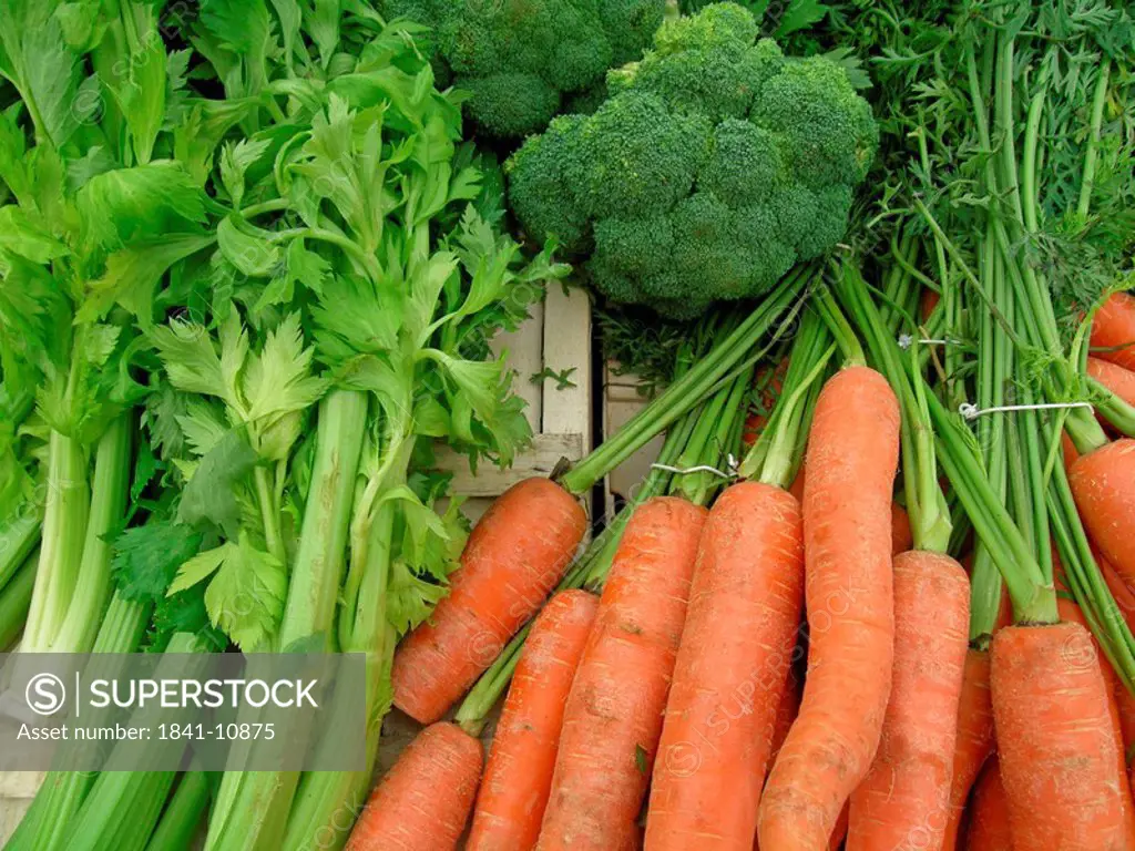 Close_up of carrots with broccoli and celery, France