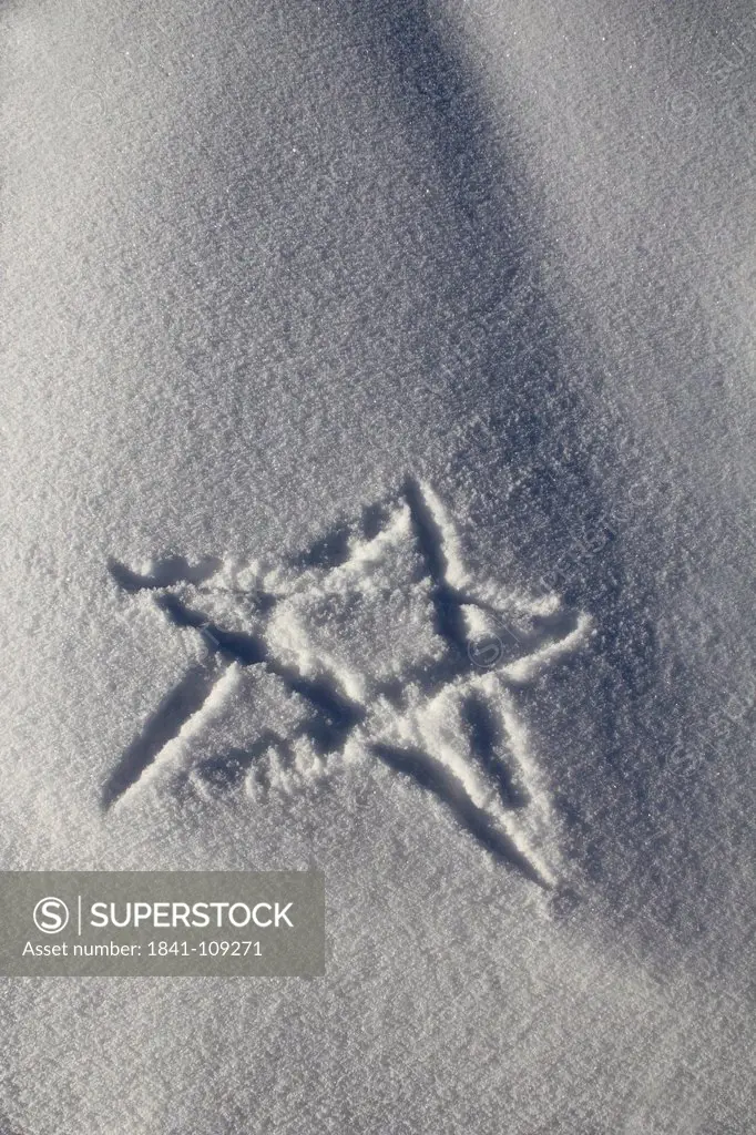 Star in snow