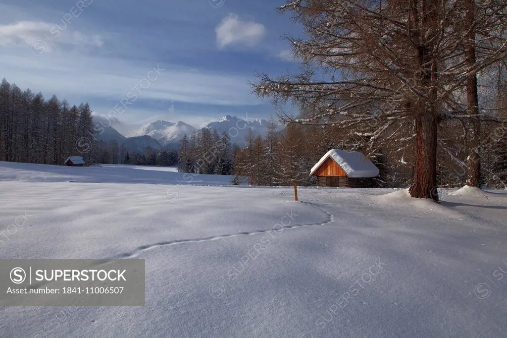 Snow with animal tracks at Holzleitensattel, Tyrol, Austria