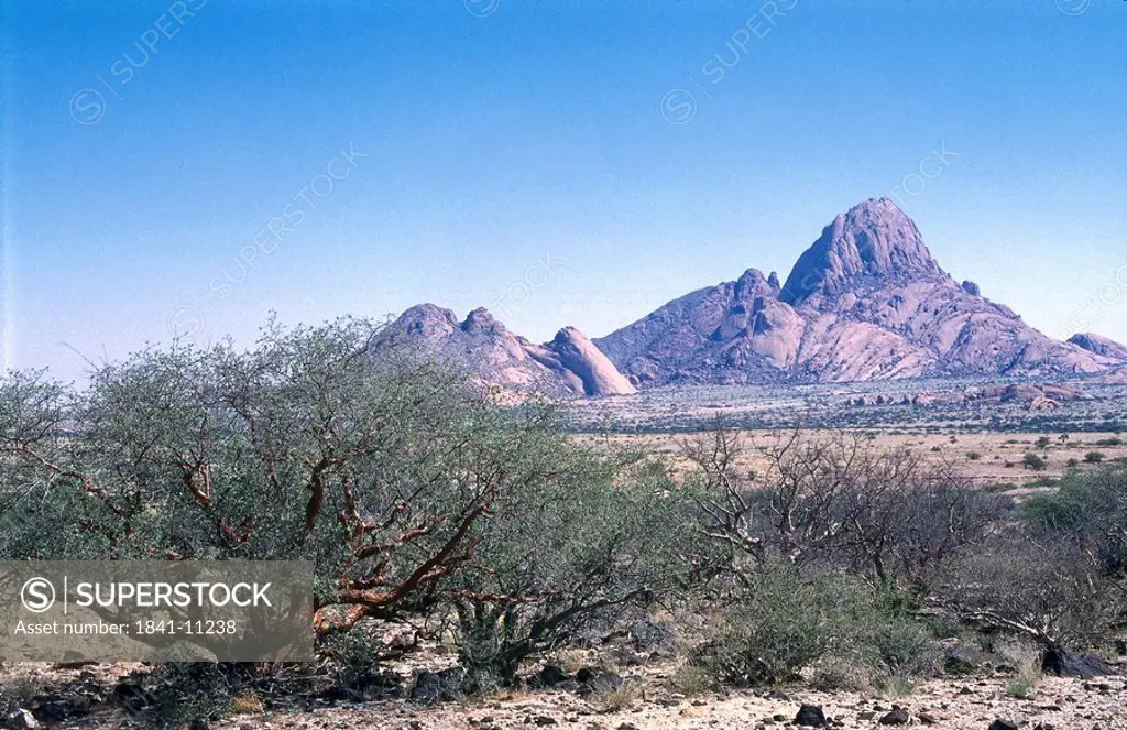 Bushes with mountain in background, Spitzkoppe, Damaraland, Namibia