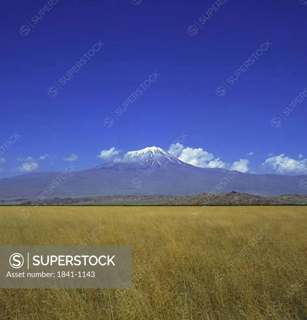 Panoramic view of field with mountain in background, Mt Ararat, Turkey